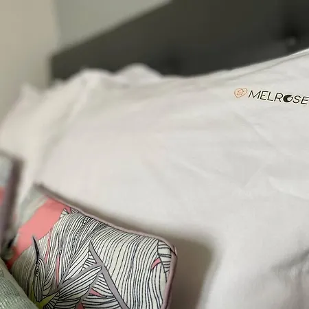 Mon Saint-patrice By Melrose Bayeux