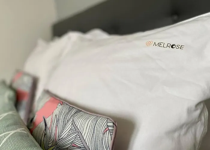 Mon Saint-patrice By Melrose Bayeux